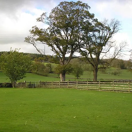 Green Grove Bed & Breakfast 4*