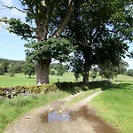Panzió Grove 4*