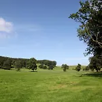 Panzió Grove 4*