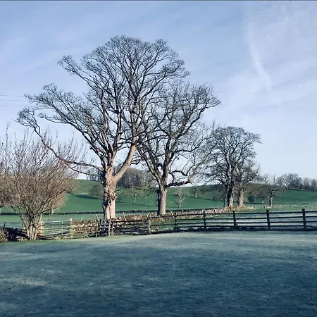Bed and breakfast Grove 4*