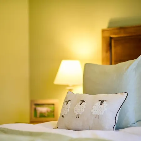 Bed and breakfast Grove